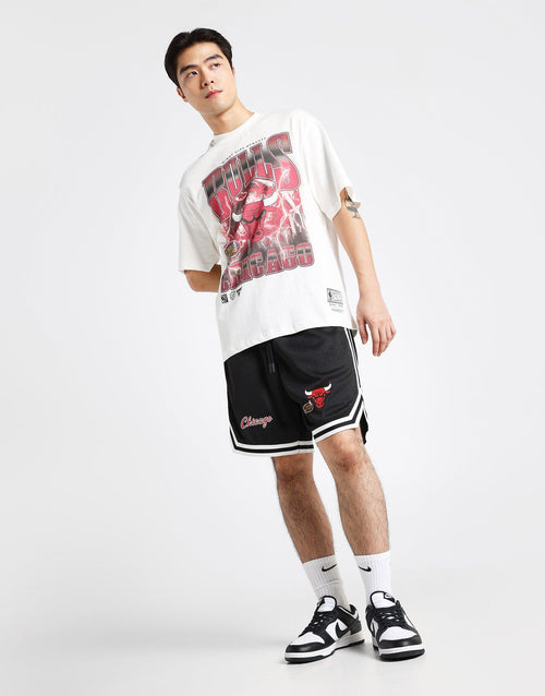 Chicago Bulls Mesh Shorts