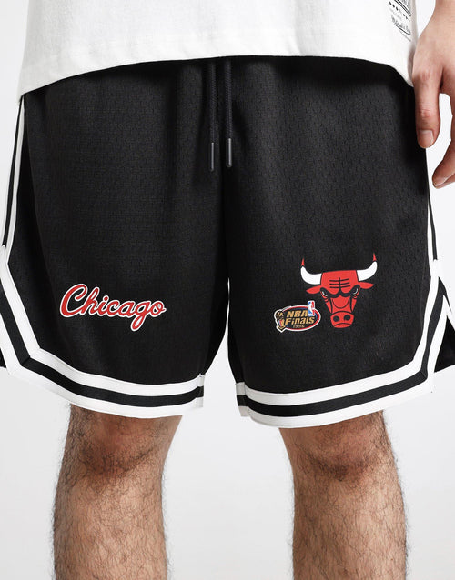 Chicago Bulls Mesh Shorts